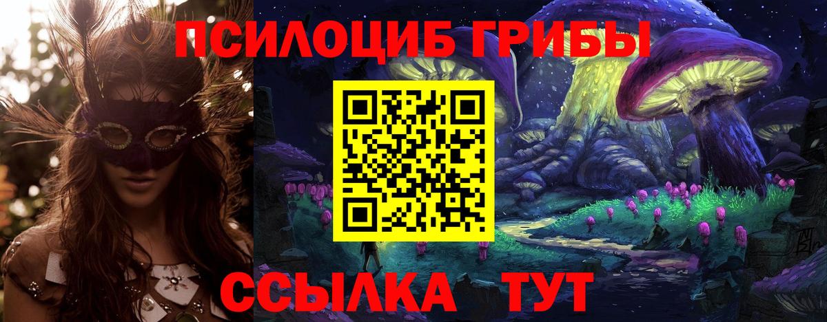 Псилоцибиновые грибы прущие грибы  Вход с VPN  Дубна 